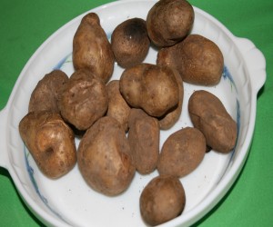 4--patates resmi 1433.jpg